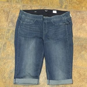 Curves 360 by not your daughter  jeans size 26W